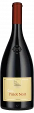 PINOT NOIR TRADITION 2023 Cantina Terland Alto Adige Italien